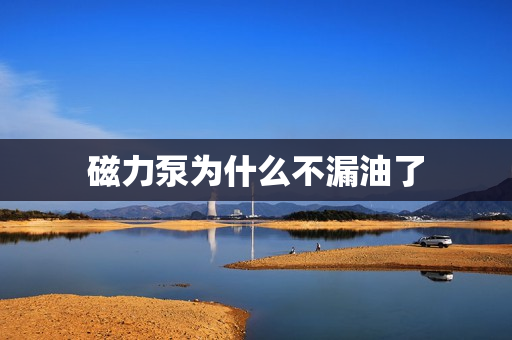 磁力泵为什么不漏油了