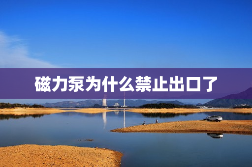 磁力泵为什么禁止出口了
