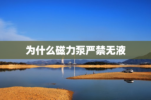 为什么磁力泵严禁无液