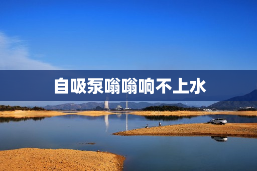 自吸泵嗡嗡响不上水