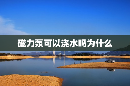 磁力泵可以浇水吗为什么