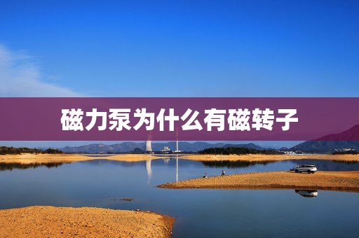 磁力泵为什么有磁转子