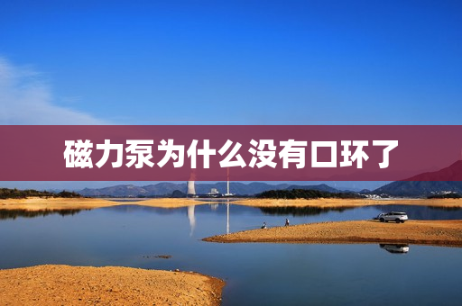 磁力泵为什么没有口环了