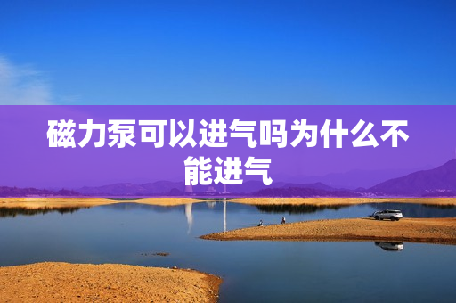 磁力泵可以进气吗为什么不能进气