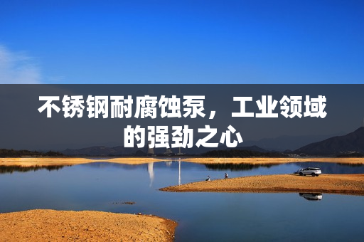 不锈钢耐腐蚀泵，工业领域的强劲之心