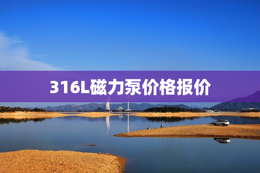 316L磁力泵价格报价