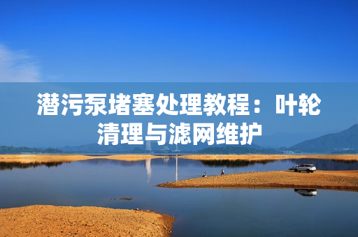 潜污泵堵塞处理教程：叶轮清理与滤网维护