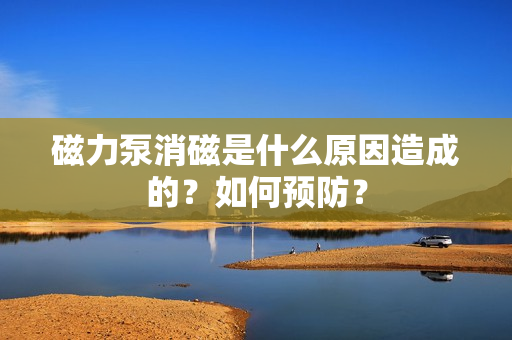 磁力泵消磁是什么原因造成的？如何预防？