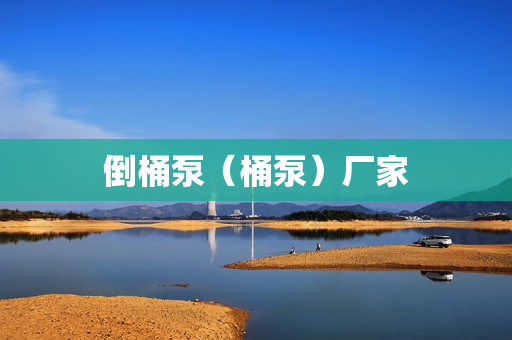 倒桶泵（桶泵）厂家