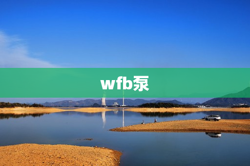 wfb泵