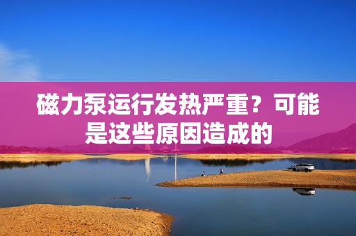 磁力泵运行发热严重？可能是这些原因造成的