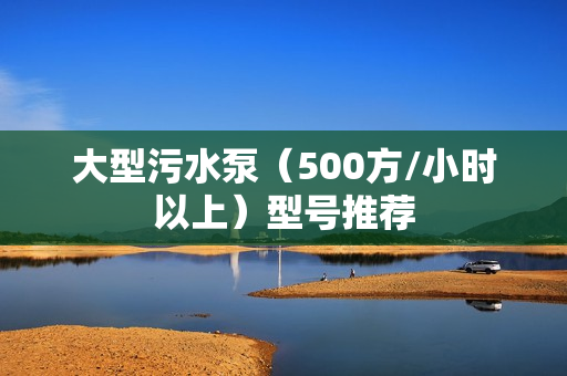 大型污水泵（500方/小时以上）型号推荐