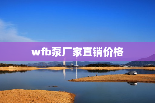 wfb泵厂家直销价格