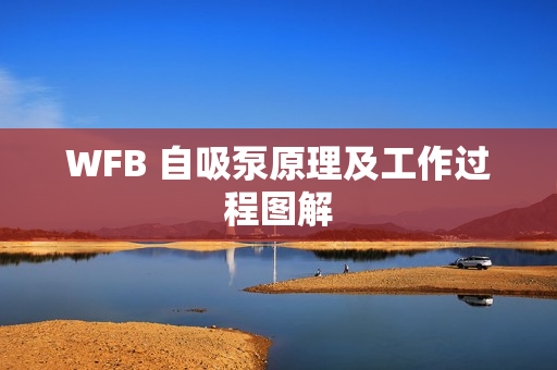 WFB 自吸泵原理及工作过程图解