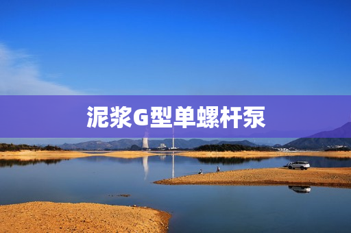 泥浆G型单螺杆泵