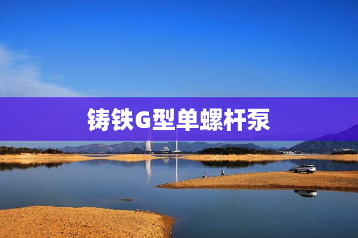 铸铁G型单螺杆泵