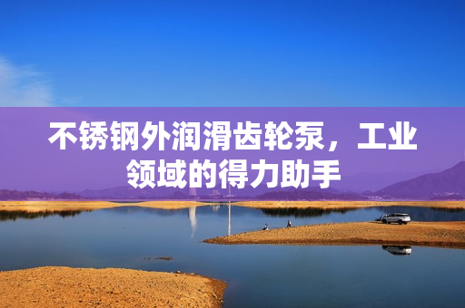 不锈钢外润滑齿轮泵，工业领域的得力助手