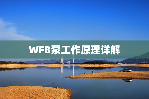 WFB泵工作原理详解