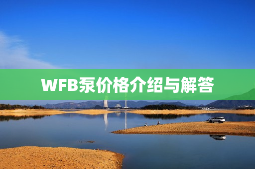WFB泵价格介绍与解答