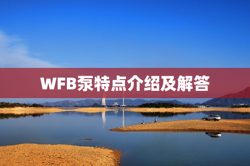 WFB泵特点介绍及解答