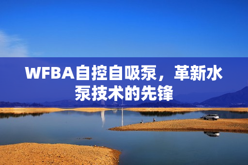 WFBA自控自吸泵，革新水泵技术的先锋