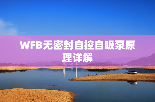 WFB无密封自控自吸泵原理详解