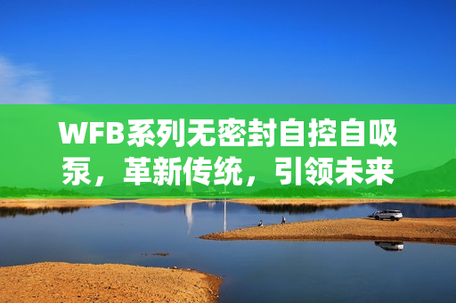 WFB系列无密封自控自吸泵，革新传统，引领未来
