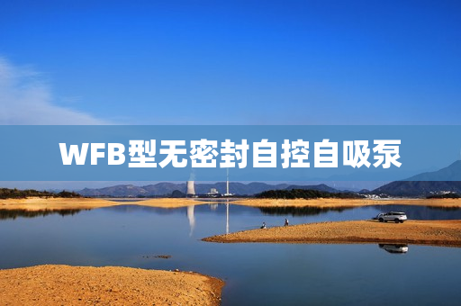 WFB型无密封自控自吸泵