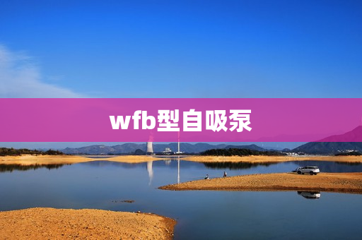 wfb型自吸泵