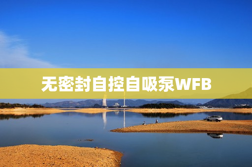 无密封自控自吸泵WFB