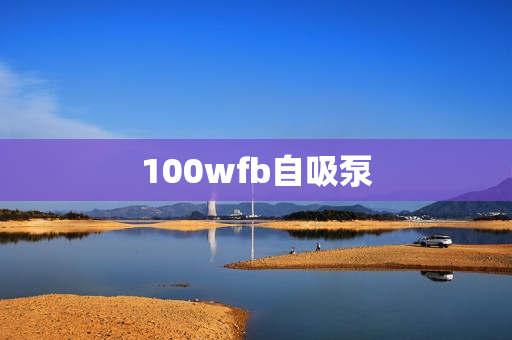 100wfb自吸泵