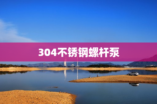 304不锈钢螺杆泵