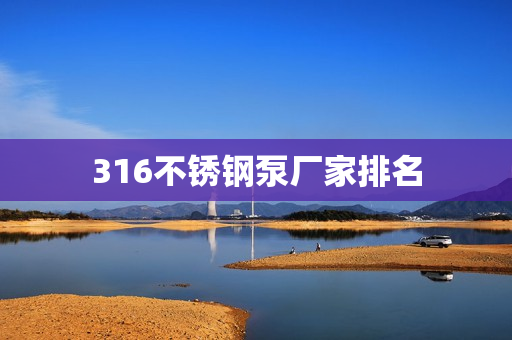 316不锈钢泵厂家排名