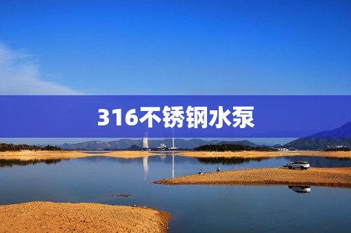 316不锈钢水泵