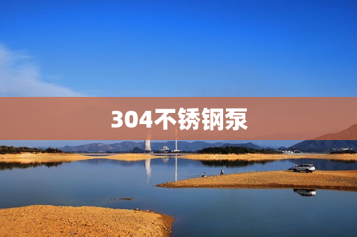 304不锈钢泵