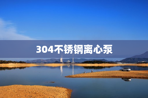 304不锈钢离心泵