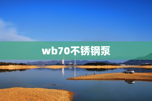 wb70不锈钢泵