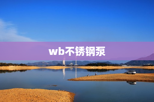 wb不锈钢泵