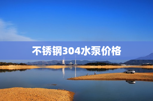 不锈钢304水泵价格
