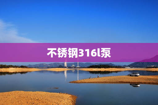 不锈钢316l泵