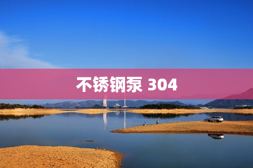 不锈钢泵 304