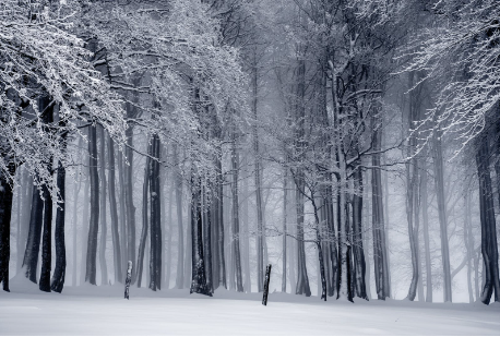 不锈钢潜水泵，专业视角下的高效与稳定之选